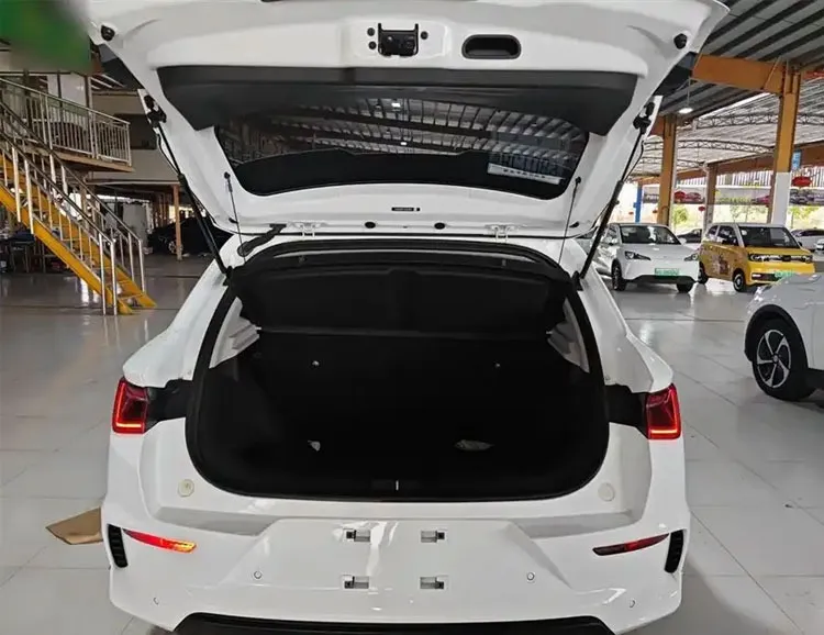 2020 BYD E2 — source image 9