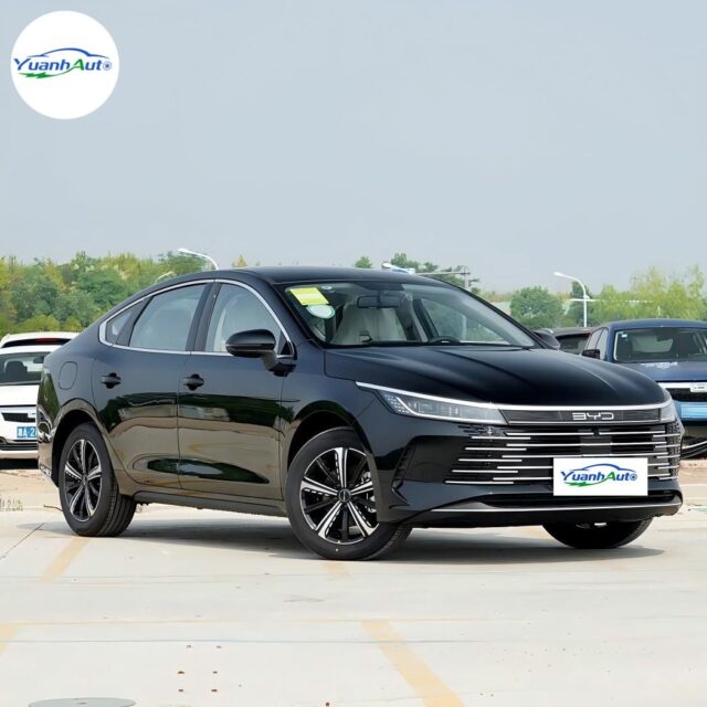 BYD Destroyer 05 vehicle photo 1