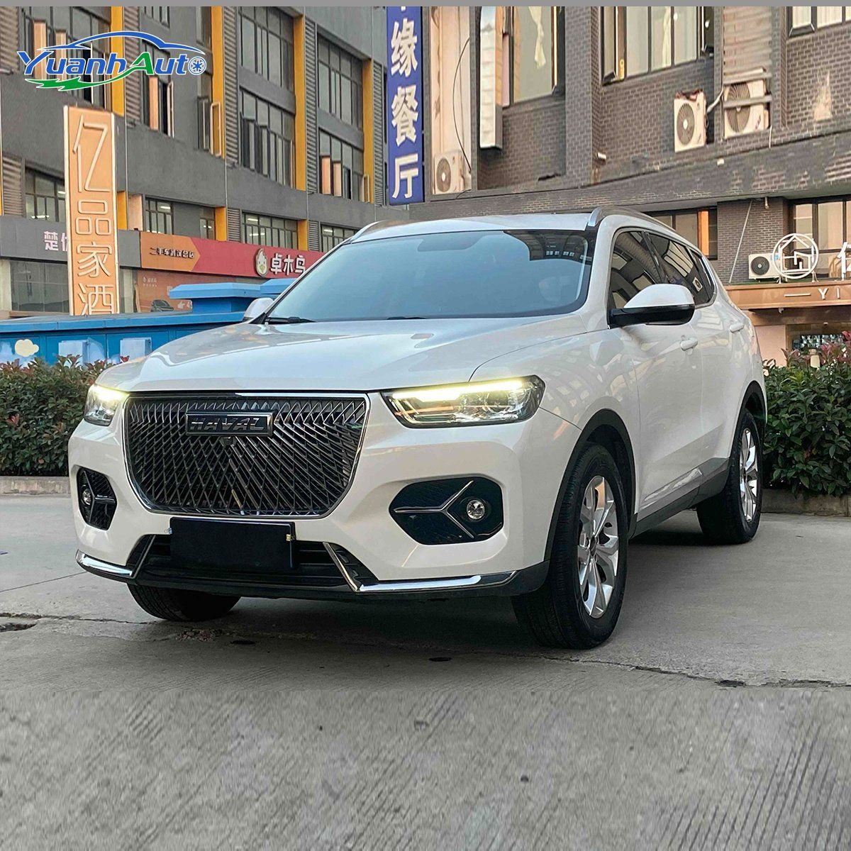 2021 Haval custom vehicle photo 1