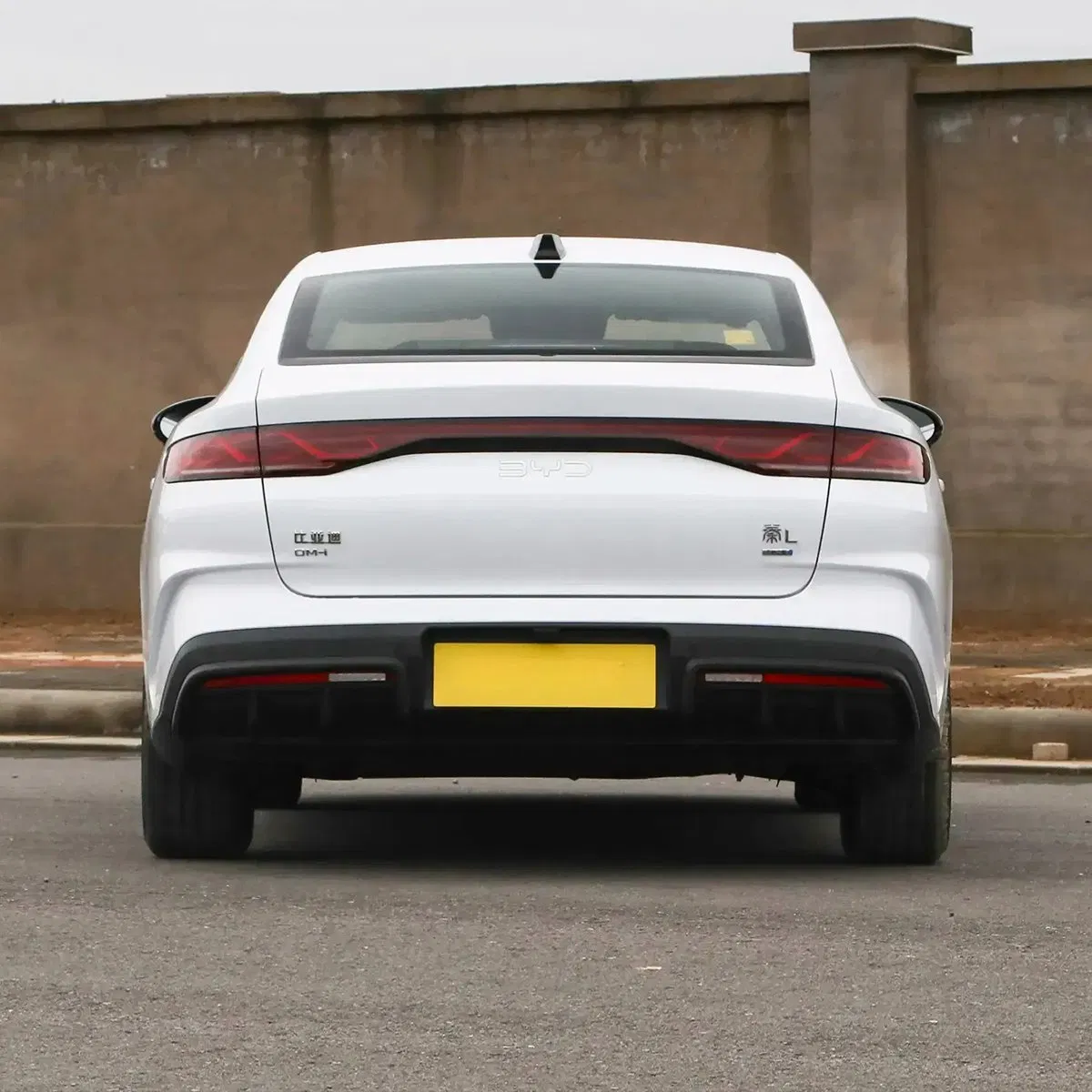 2026 custom vehicle photo 6
