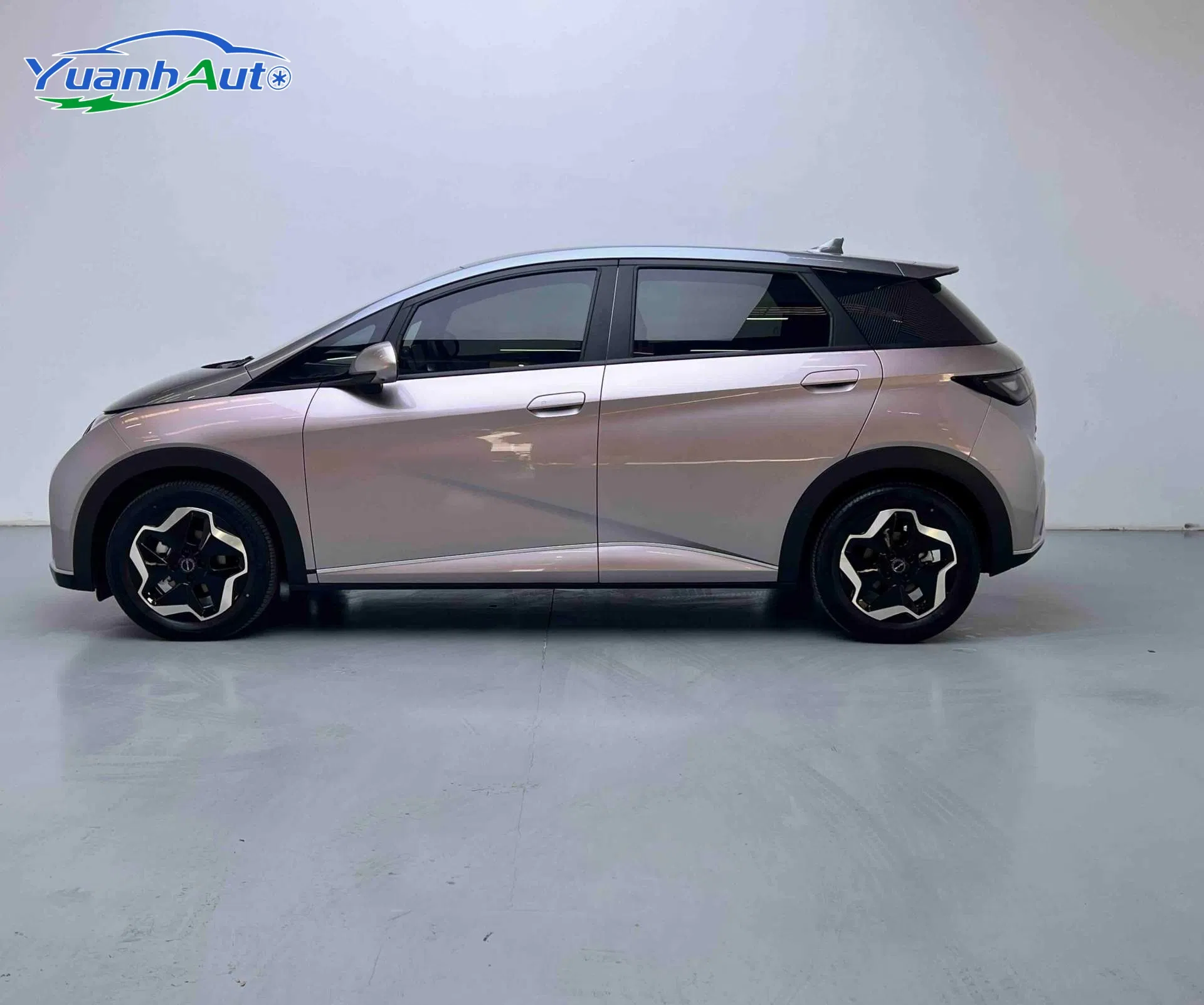 2021 BYD custom vehicle photo 7