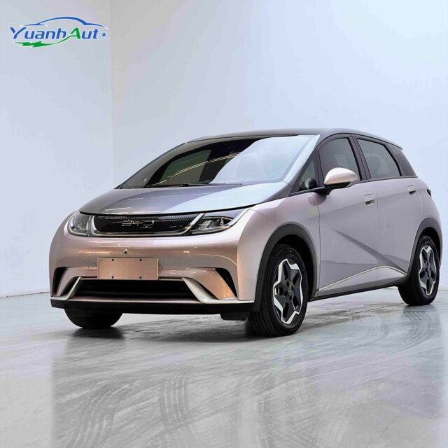 2021 BYD custom vehicle photo 1