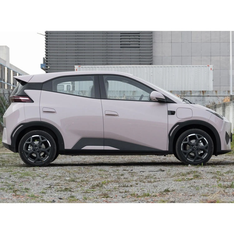 2025 BYD Seagull vehicle photo 6