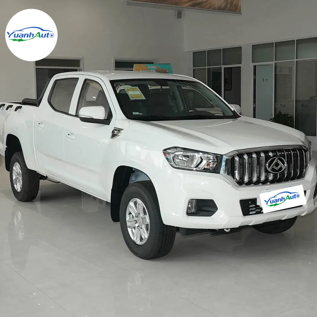 2020 Toyota T60 vehicle photo 4