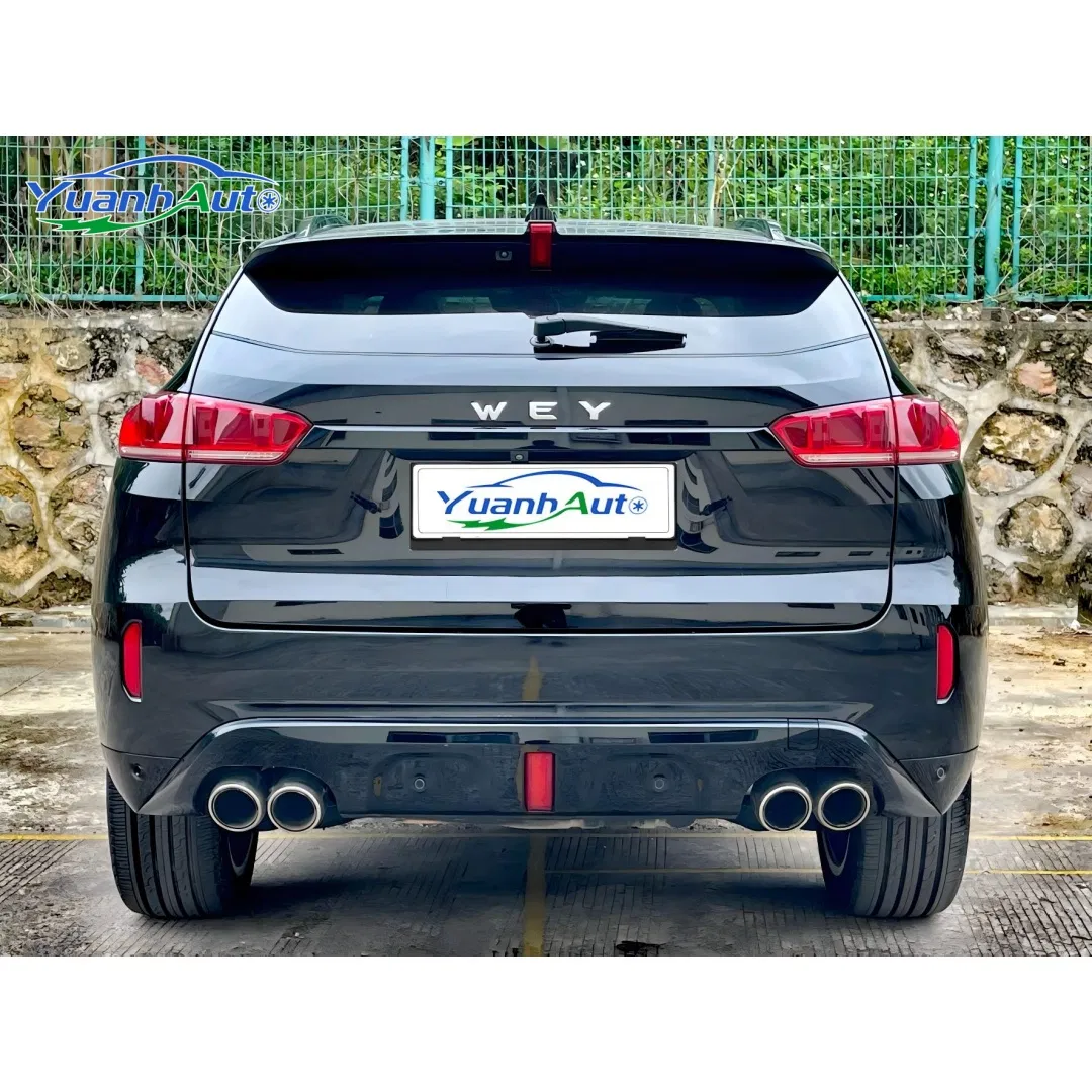 2019 VV7 vehicle photo 6