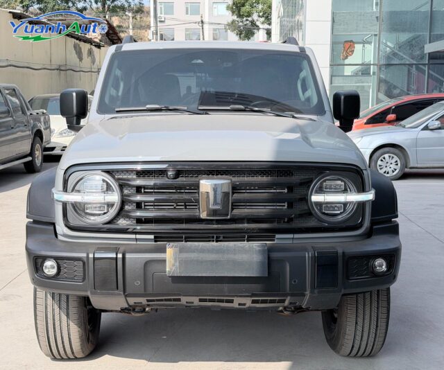 2021 Tank 300 vehicle photo 1