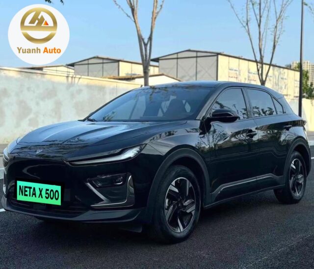 2023 Neta X vehicle photo 1