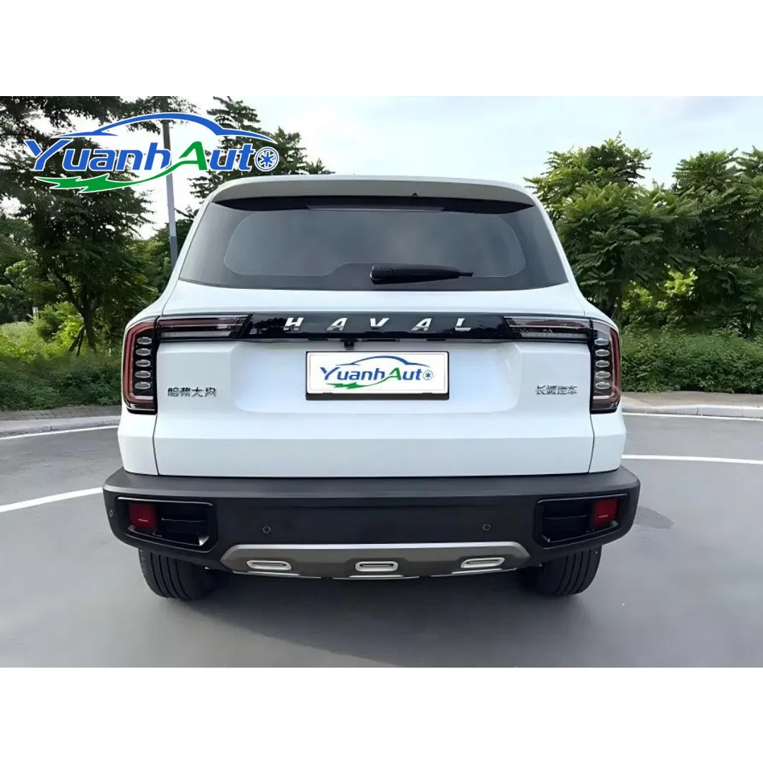 2021 Haval big dog vehicle photo 7