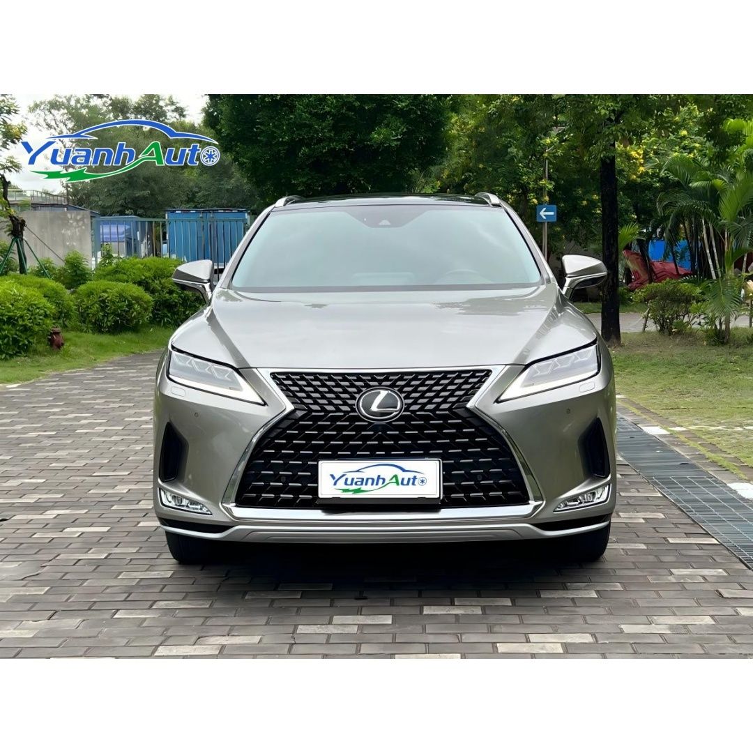 2021 Lexus RX300 vehicle photo 1