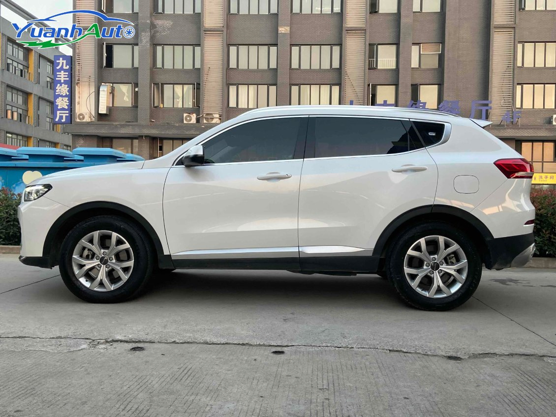 2021 Haval custom vehicle photo 6