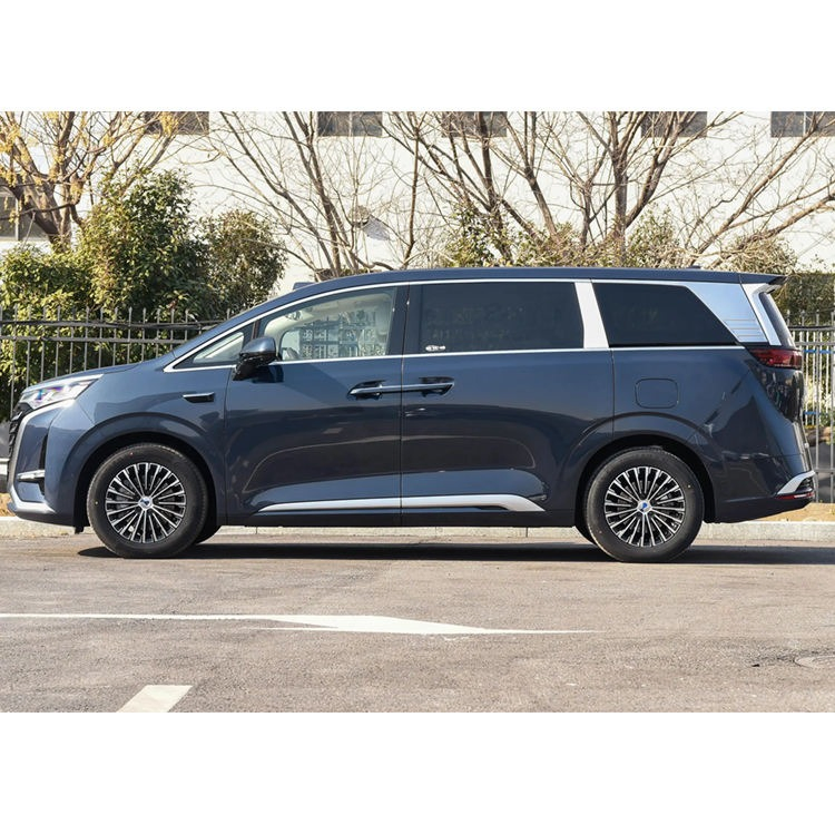 Denza D9 DM-I vehicle photo 5