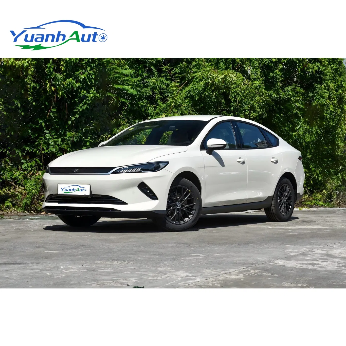 BYD Qin Plus EV — source image 8