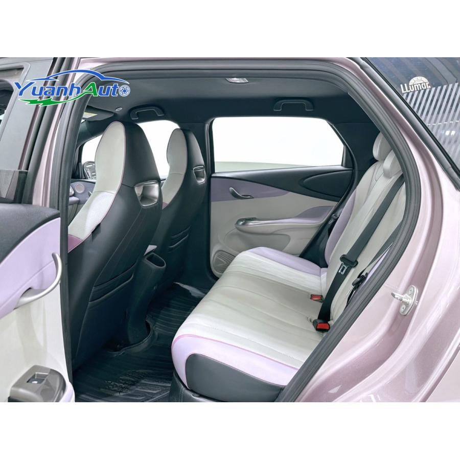 2023 BYD Dolphin vehicle photo 6