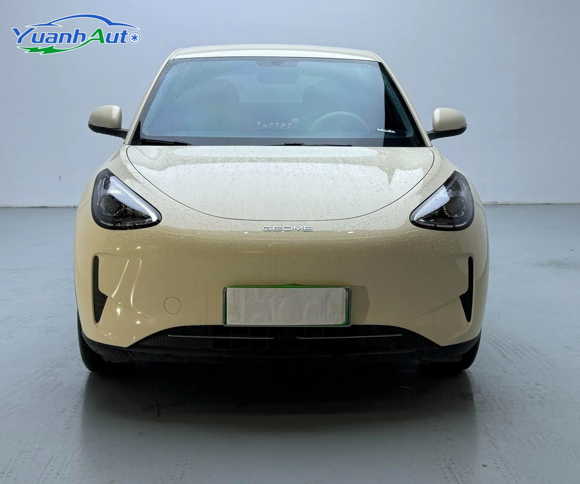 Used Geely Geome Xingyuan 2025 310km 21min Fast Charge Pure Electric Vehicle EV Car