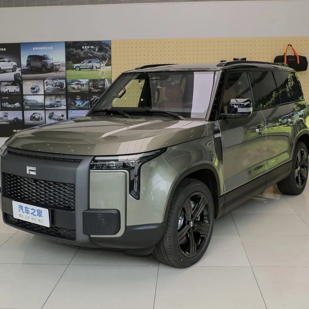 2025 Rox Jishi 01 Fast Speed New Energy Vehicles Cheap 7 Seats SUV Auto EV Hybrid Car for Sale