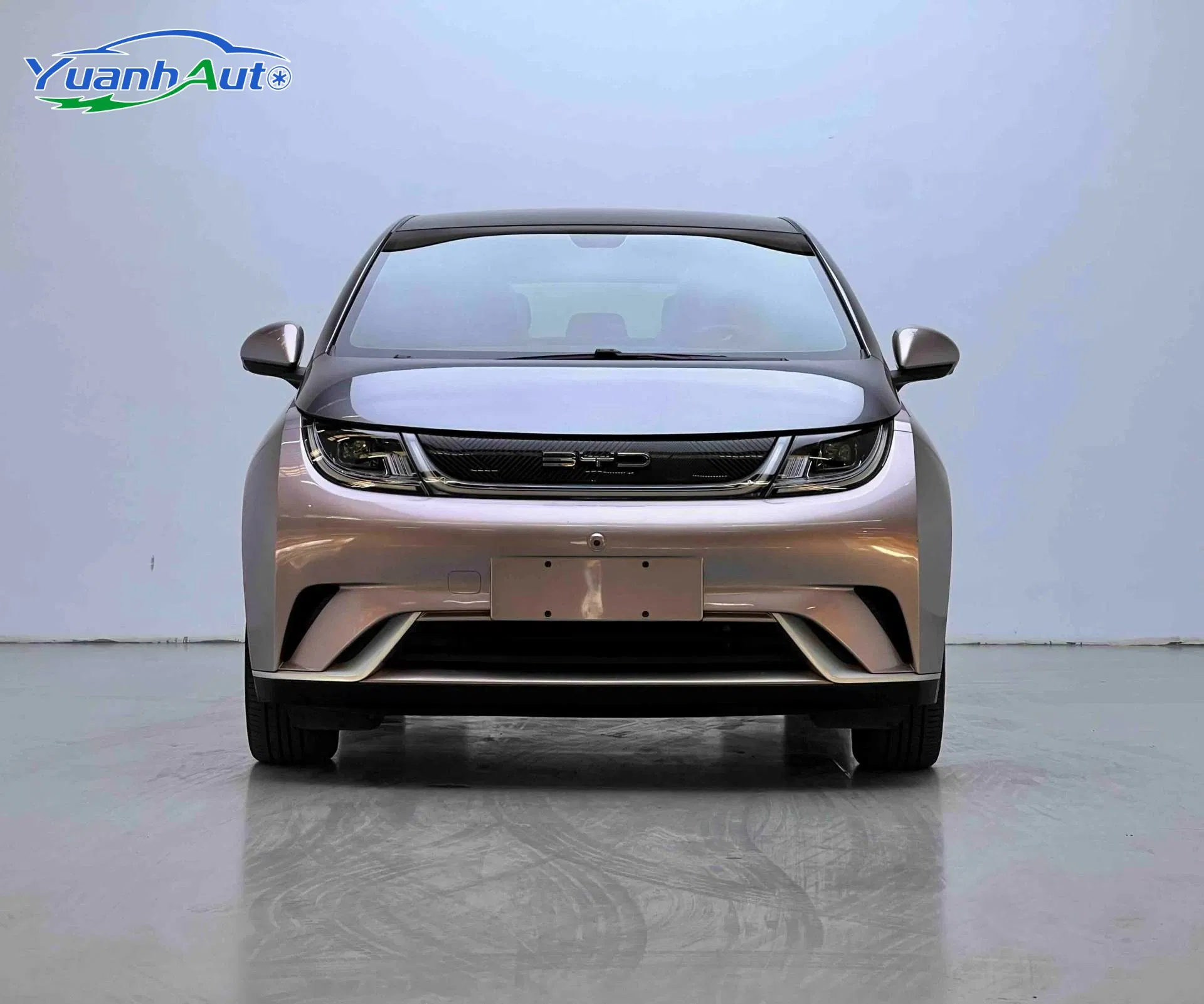 2021 Used Byd Dolphin New Energy Car