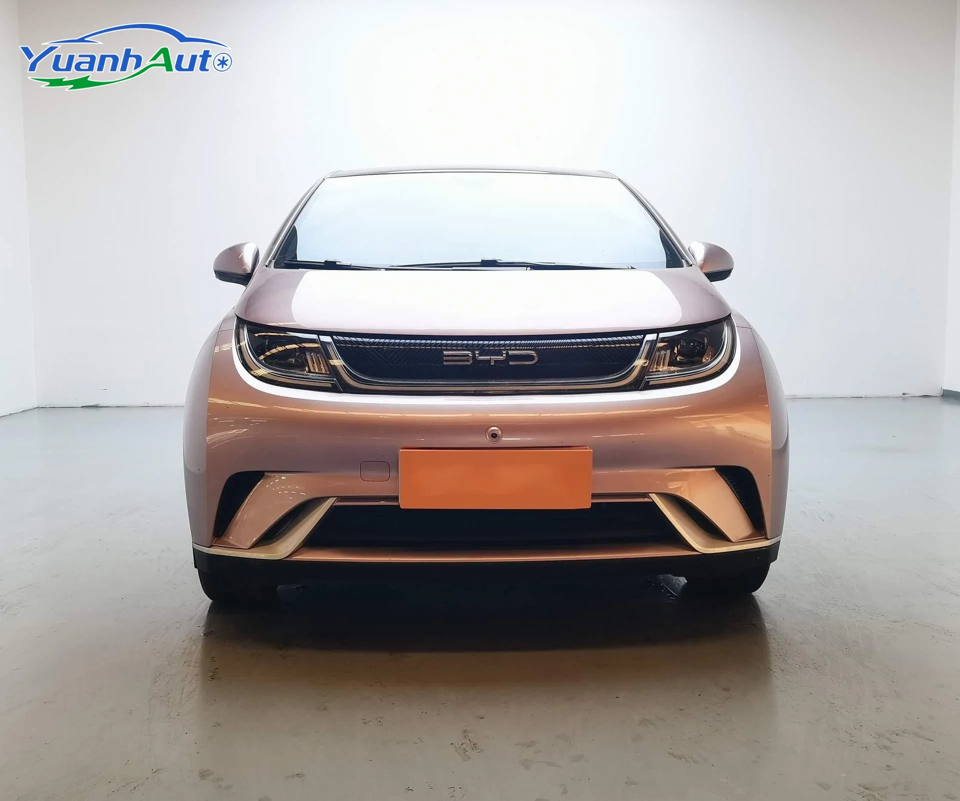 2021 Used Byd Dolphin New Energy Car