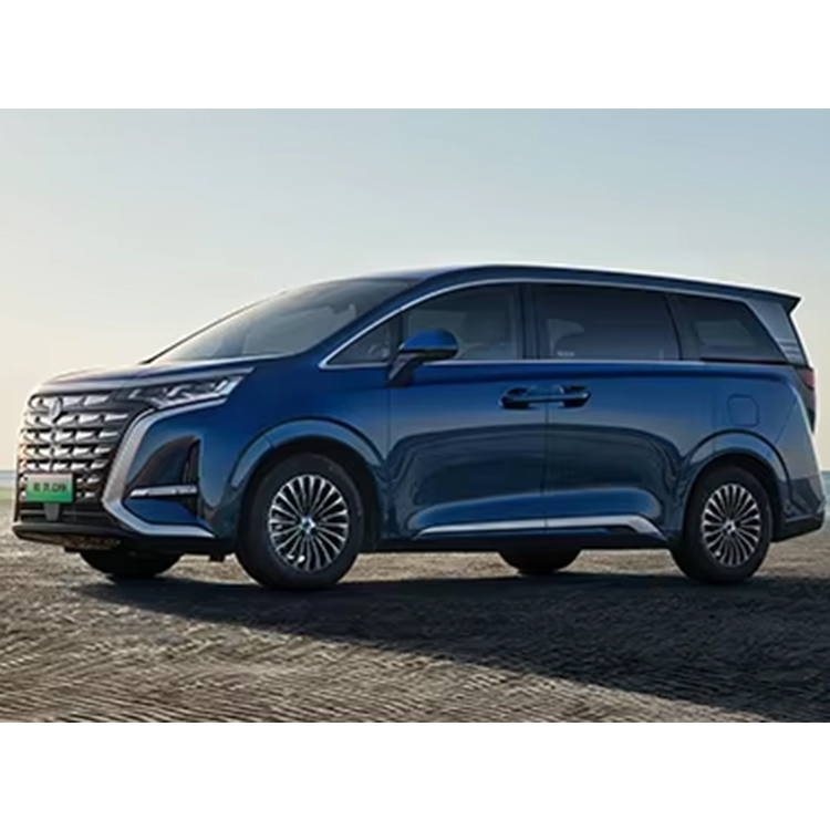 New Cars Denza D 9 DM-I Flagship PHEV AWD 1.5T EHS FSD Luxury New Energy Vehicle Electric Cars
