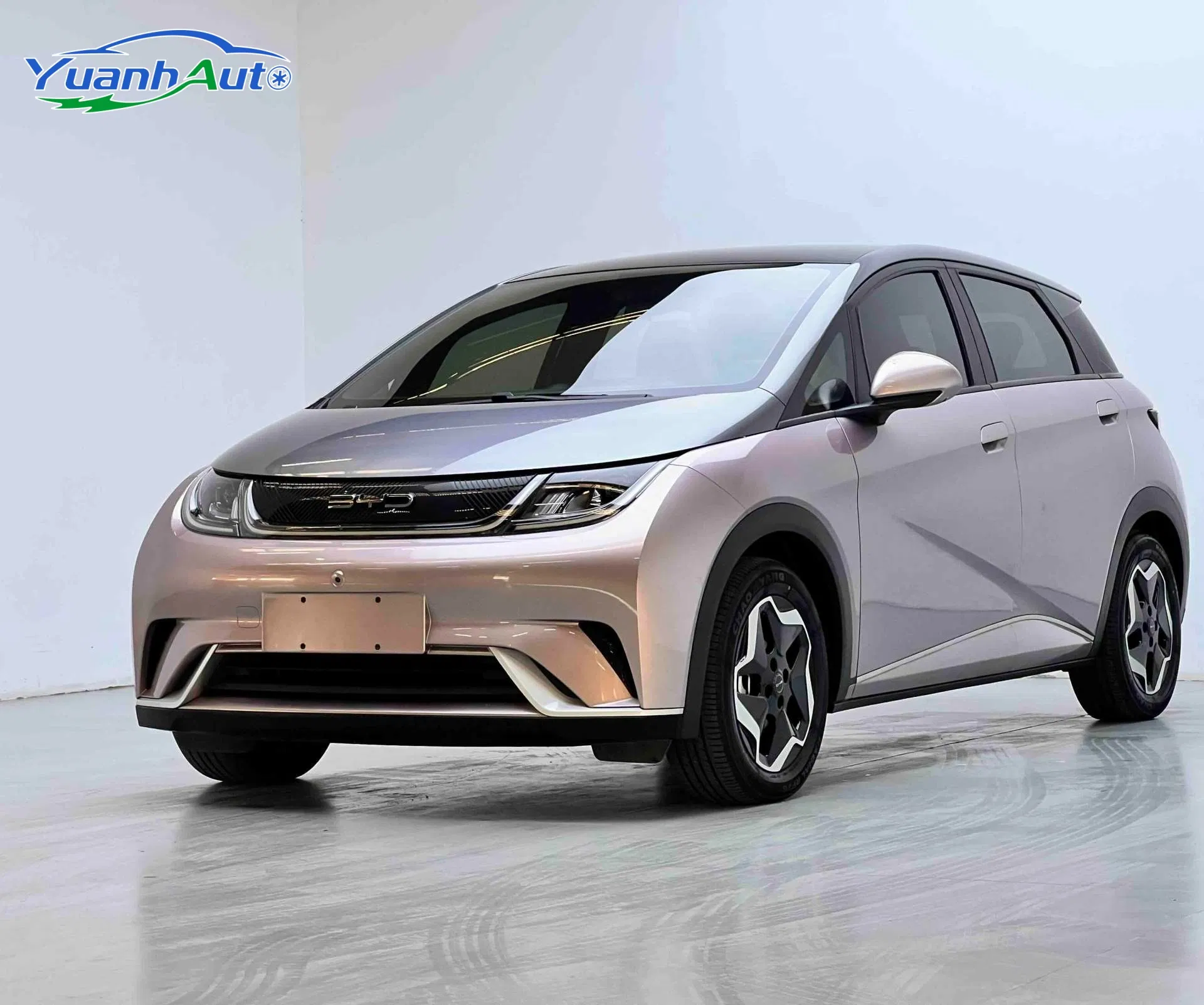 2021 Used Byd Dolphin New Energy Car