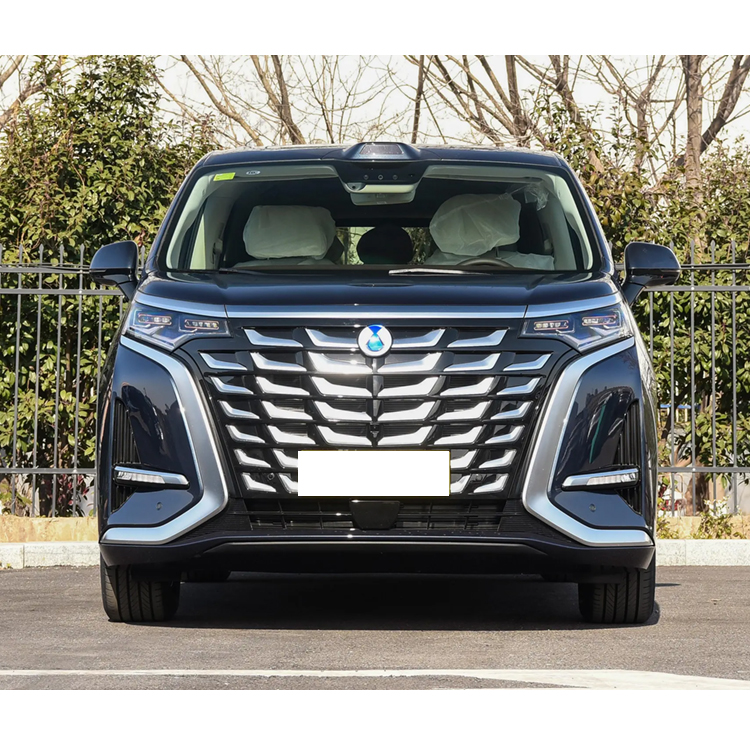 New Cars Denza D 9 DM-I Flagship PHEV AWD 1.5T EHS FSD Luxury New Energy Vehicle Electric Cars