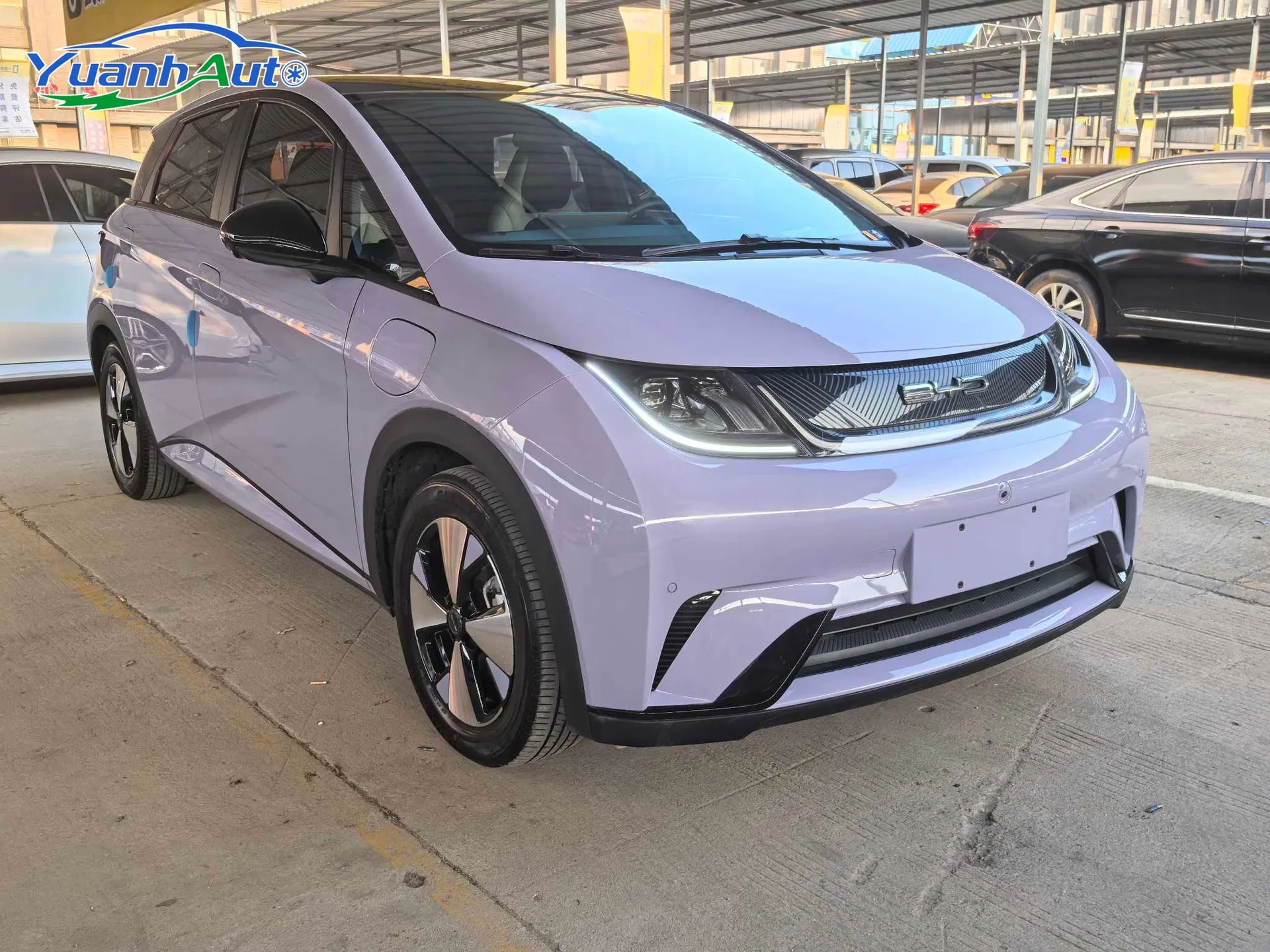 2023 Used Byd Dolphin 420km Electric Vehicle New Energy Car EV Auto