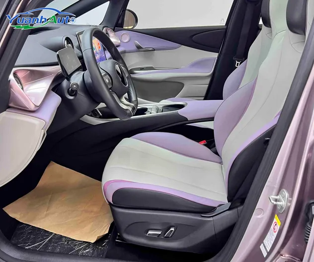 2021 Used Byd Dolphin New Energy Car