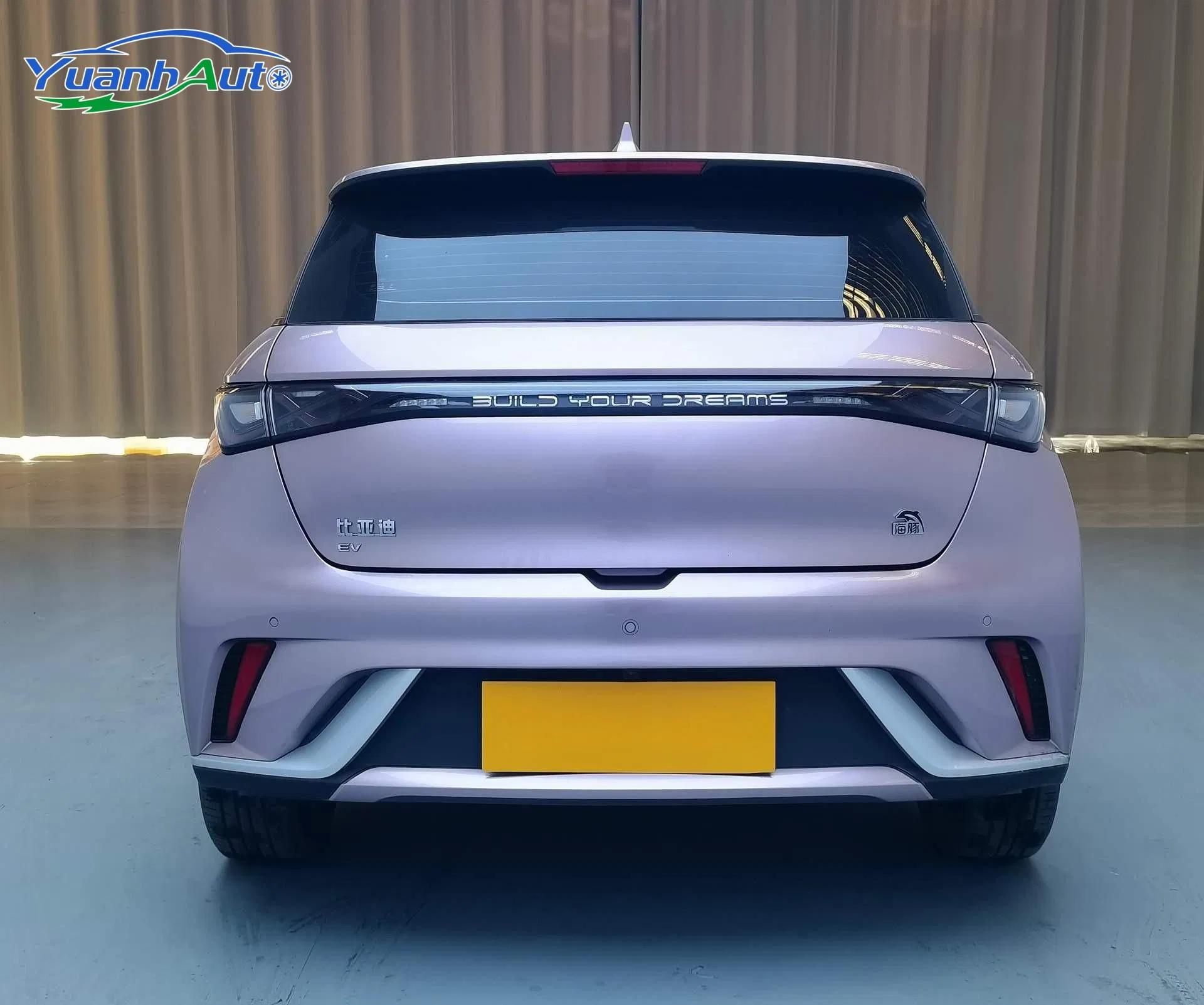 2021 Used Byd Dolphin New Energy Car