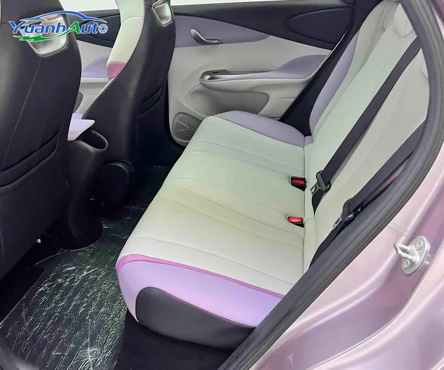 2021 Used Byd Dolphin New Energy Car