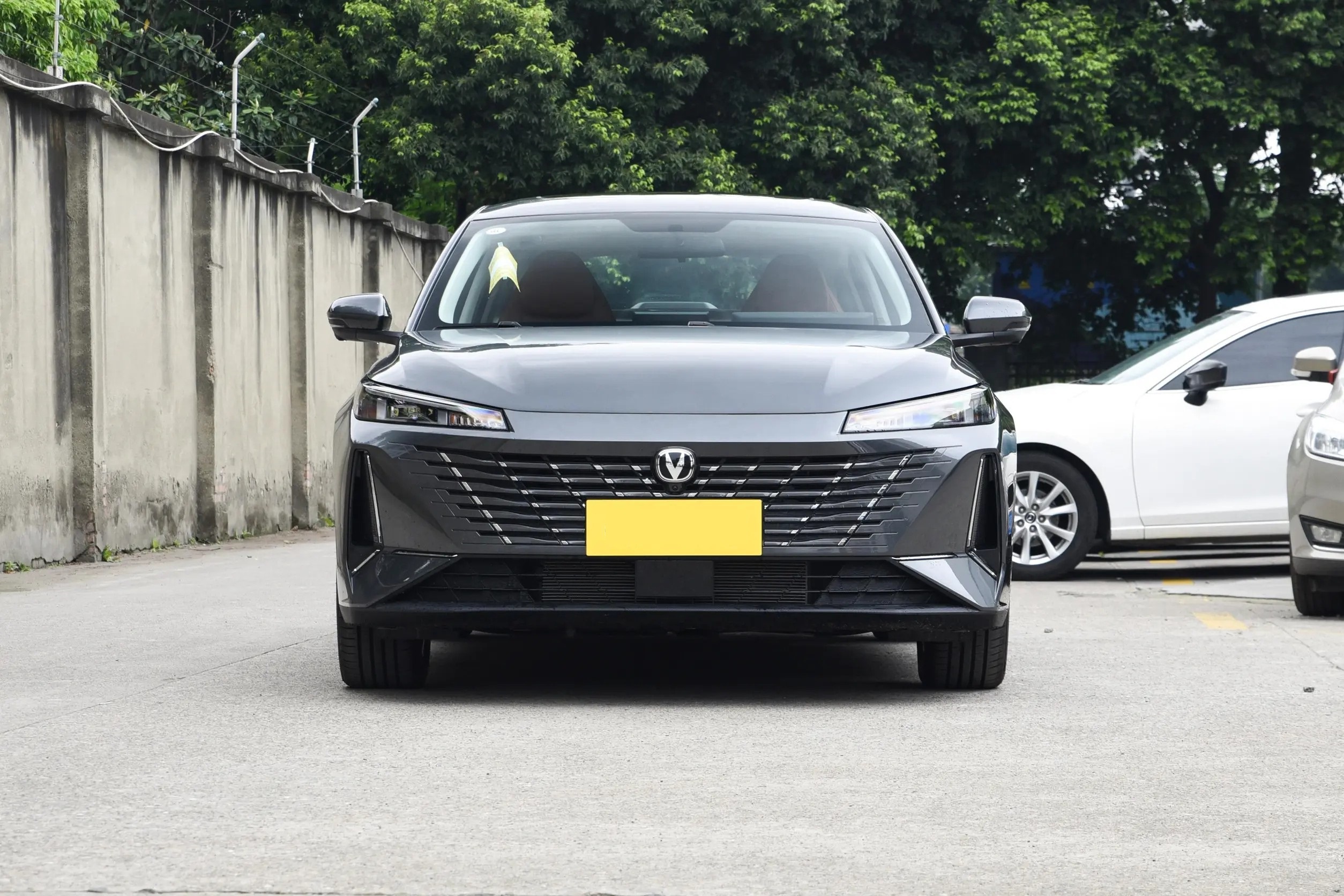 Hot Sale New Car 2024 Changan Eado Plus 2024 1.5t Cheap Gasoline Cars Changan Ev Changan Eado Family Car